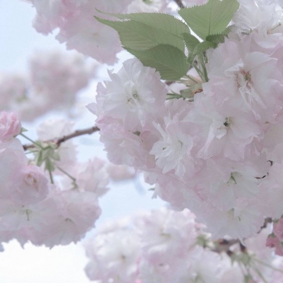 Furry插画风格探索福瑞交流群